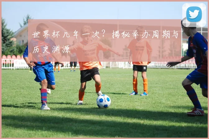 世界杯几年一次？揭秘举办周期与历史渊源