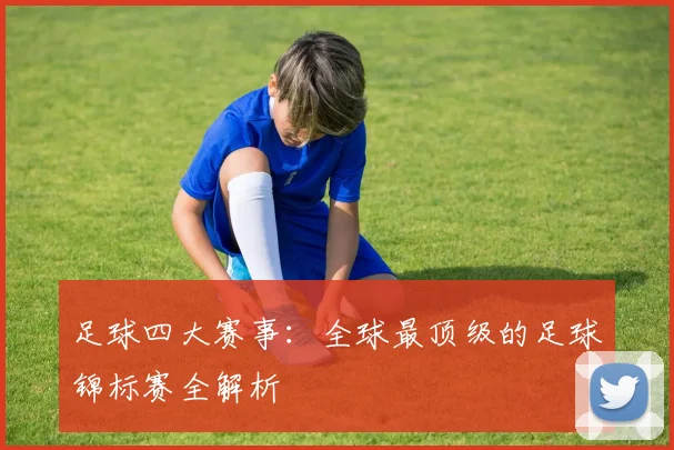 足球四大赛事:全球最顶级的足球锦标赛全解析